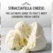 Stracciatella Cheese